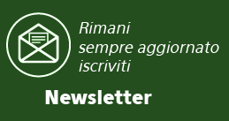 newsletter sermed